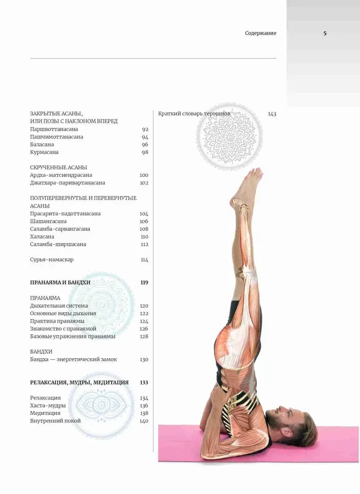 Anatomia i joga