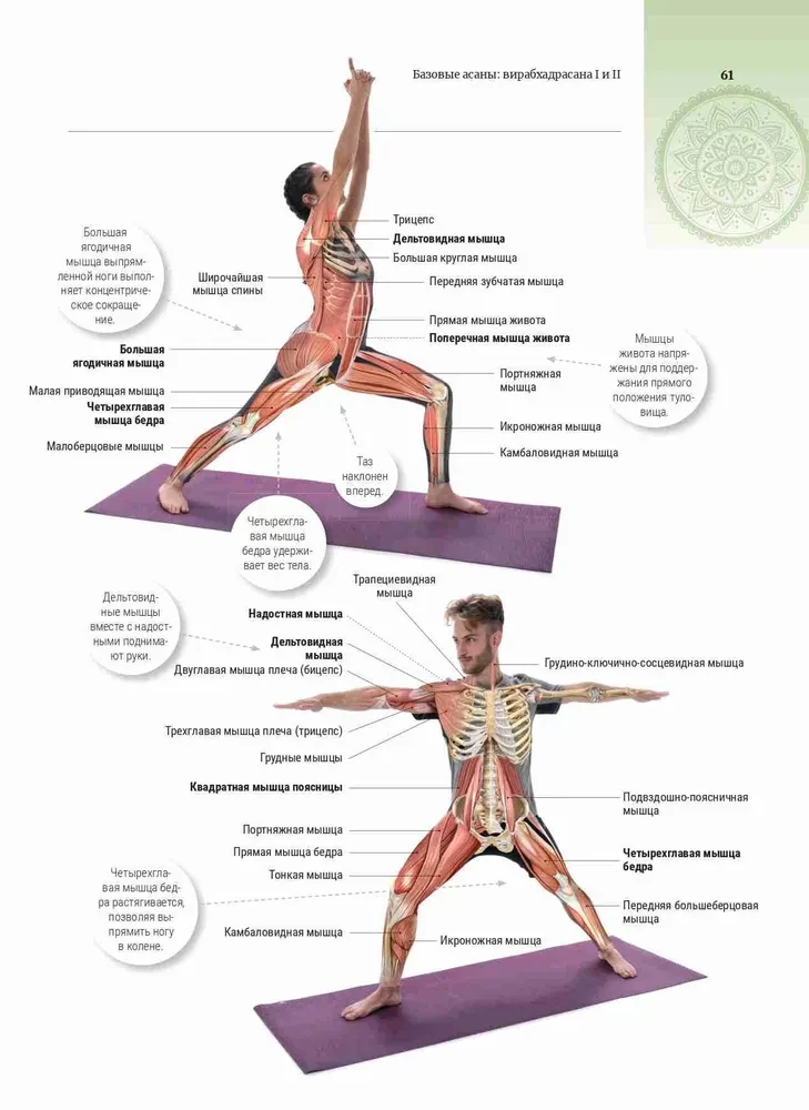 Anatomia i joga