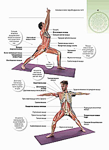 Anatomia i joga