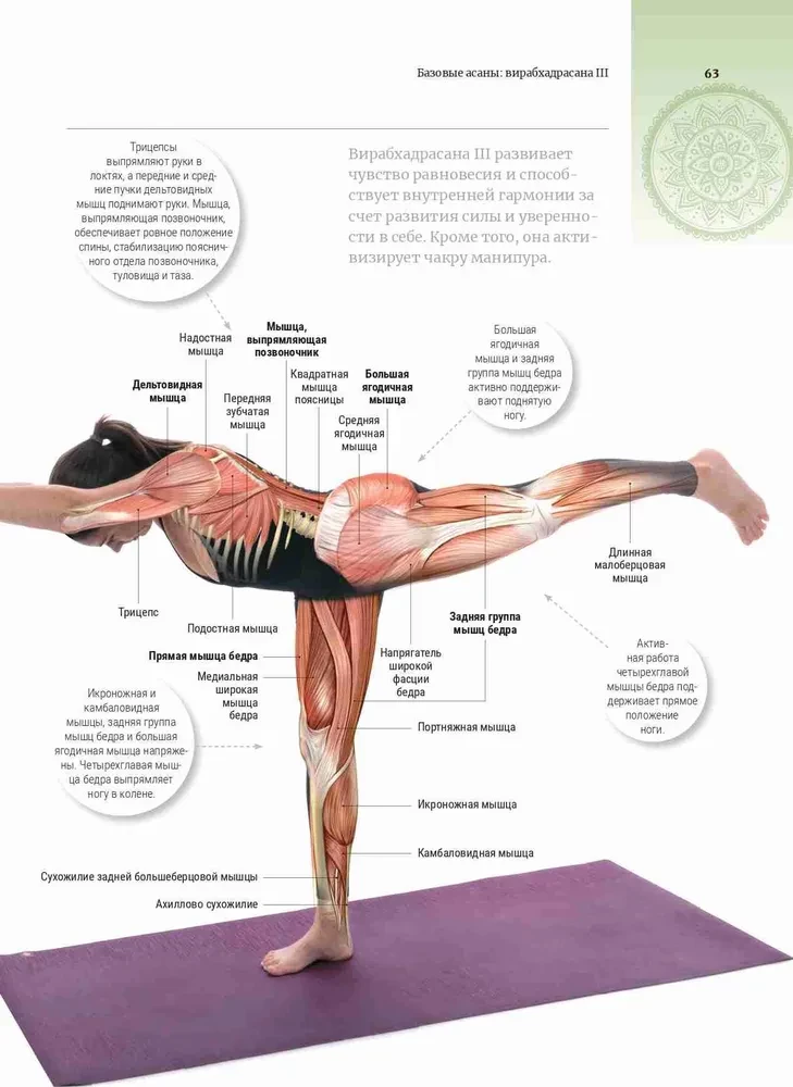Anatomia i joga