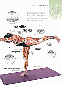 Anatomia i joga