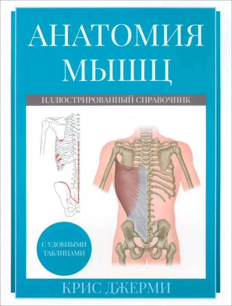 Anatomy of Muscles. Illustrated Guide