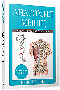 Anatomy of Muscles. Illustrated Guide