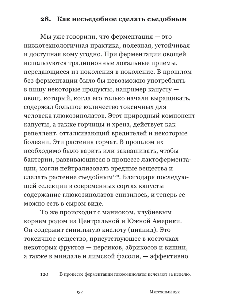 Nemierīgais gars. Mazā fermentācijas filozofija