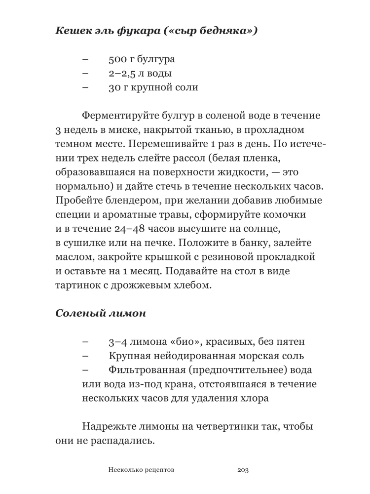 Nemierīgais gars. Mazā fermentācijas filozofija