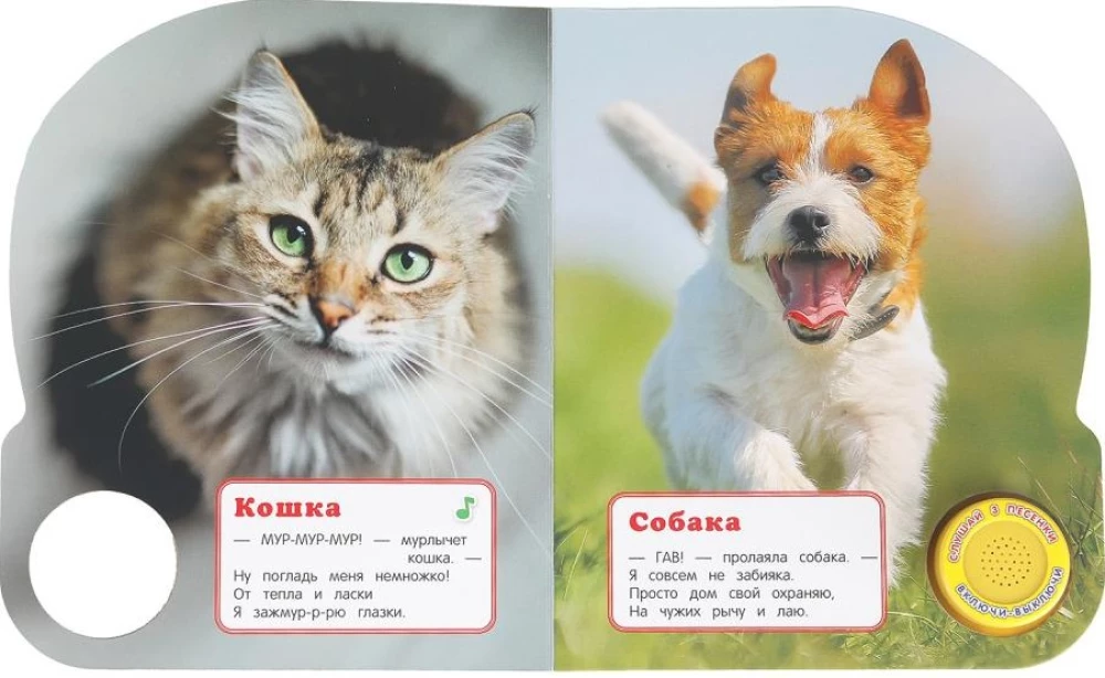 Kto jak mówi