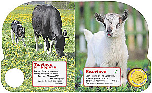 Kto jak mówi