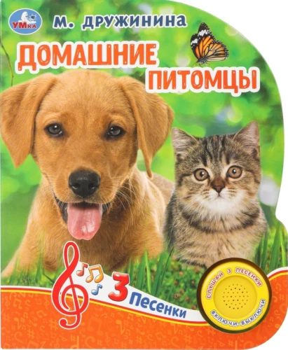 Zwierzęta domowe