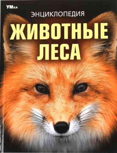 Zwierzęta lasu