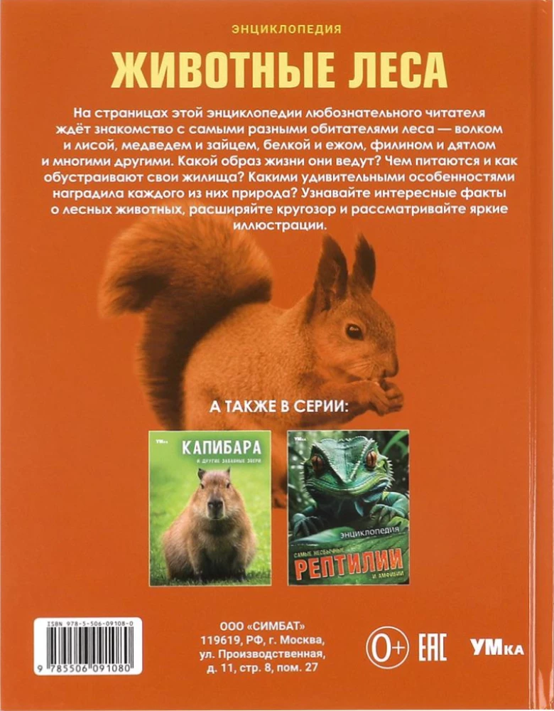Zwierzęta lasu