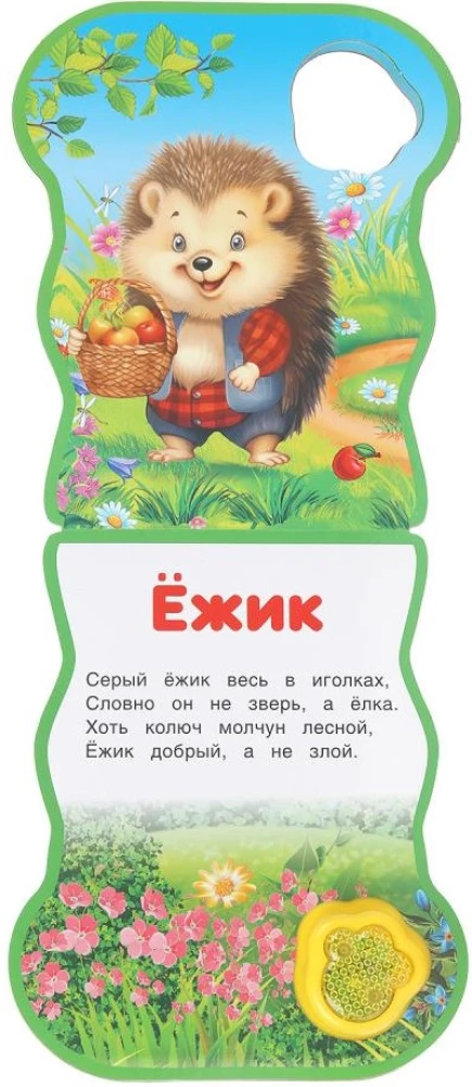 Miś