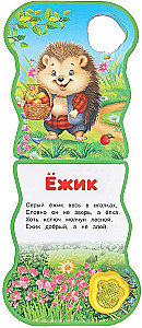 Miś
