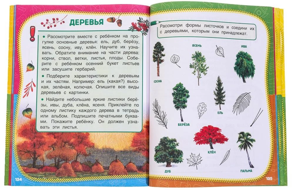 Pełny roczny kurs zajęć. 5-6 lat