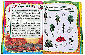 Pełny roczny kurs zajęć. 5-6 lat