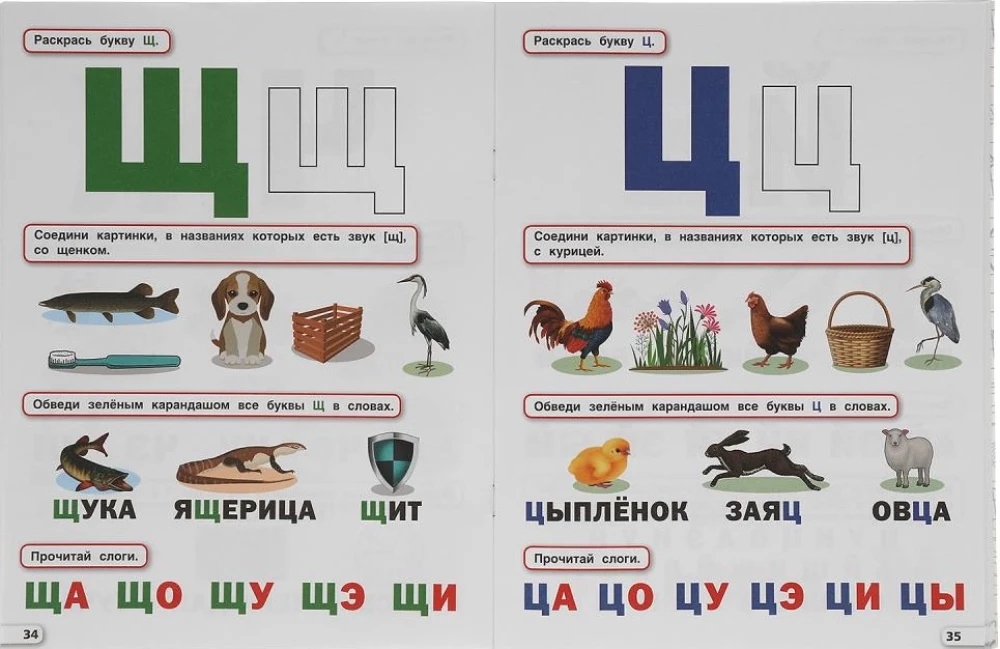 Annual Course for 4-5 Years