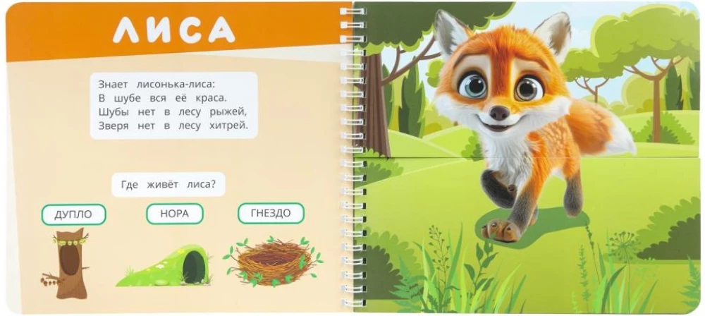 Zwierzęta leśne