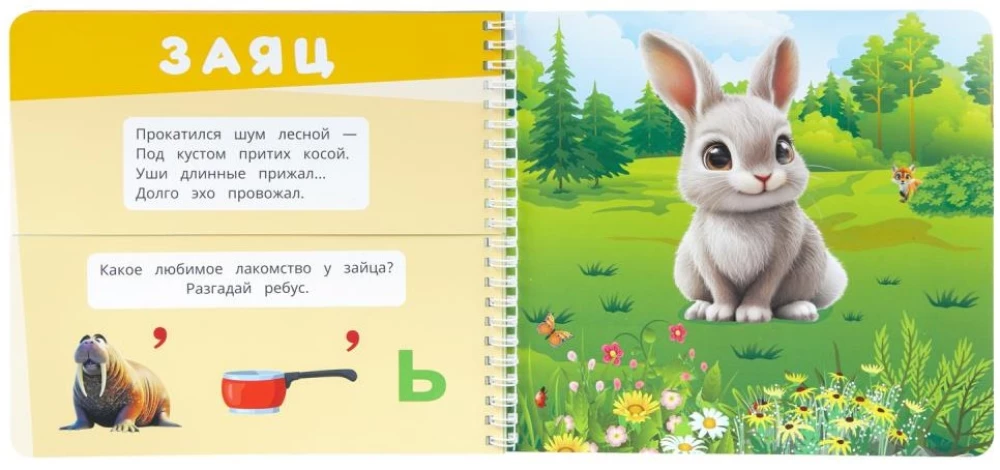 Zwierzęta leśne