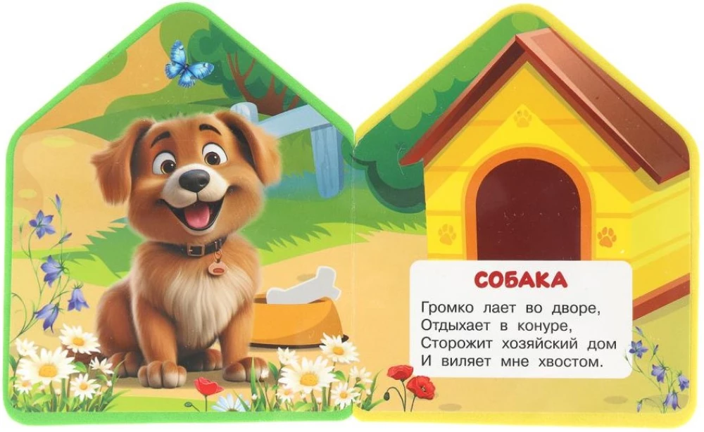 Zwierzęta domowe