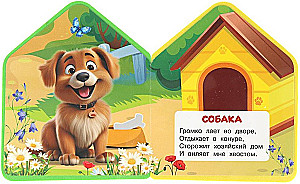Zwierzęta domowe