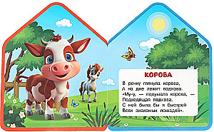 Zwierzęta domowe