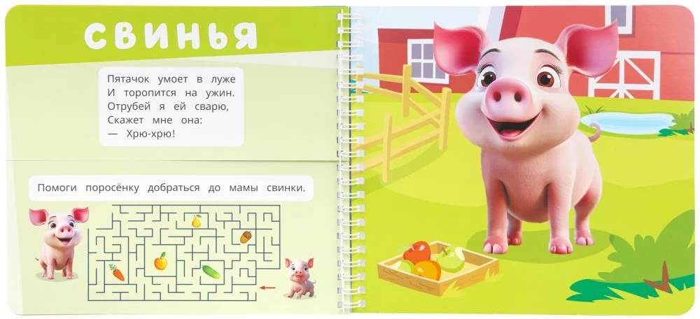 Zwierzęta domowe