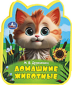Zwierzęta domowe