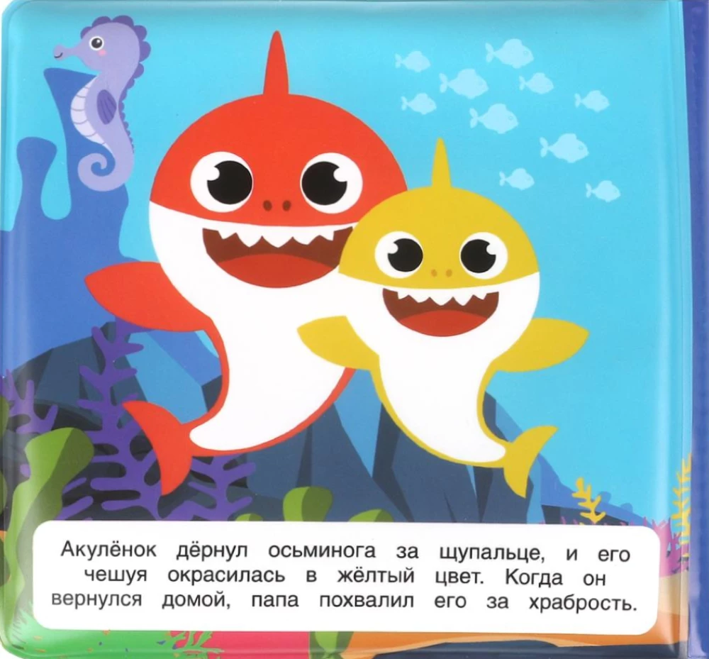 Kolorowa przygoda
