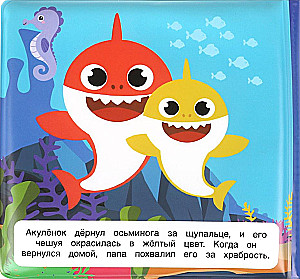 Kolorowa przygoda