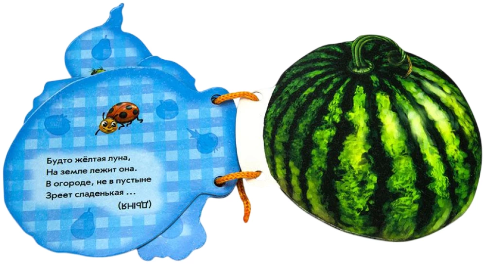 Nasz ogród