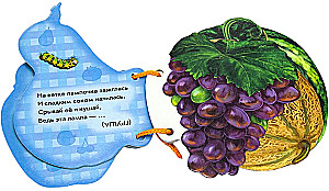 Nasz ogród