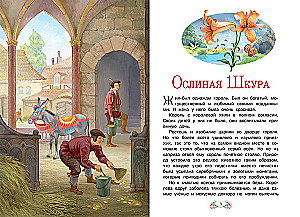 Osiołkowa skóra