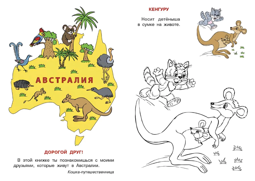 Australija. Katės atlasas