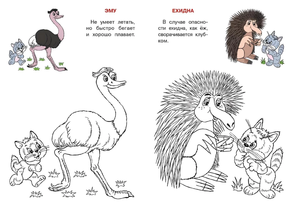 Australija. Katės atlasas