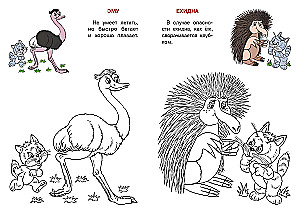 Australija. Katės atlasas