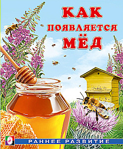 Jak powstaje miód