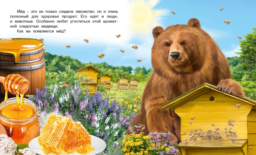 Jak powstaje miód