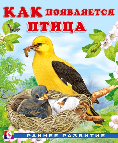 Kuidas lind ilmub