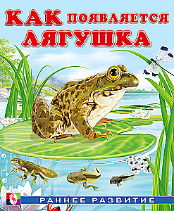 Jak pojawia się żaba