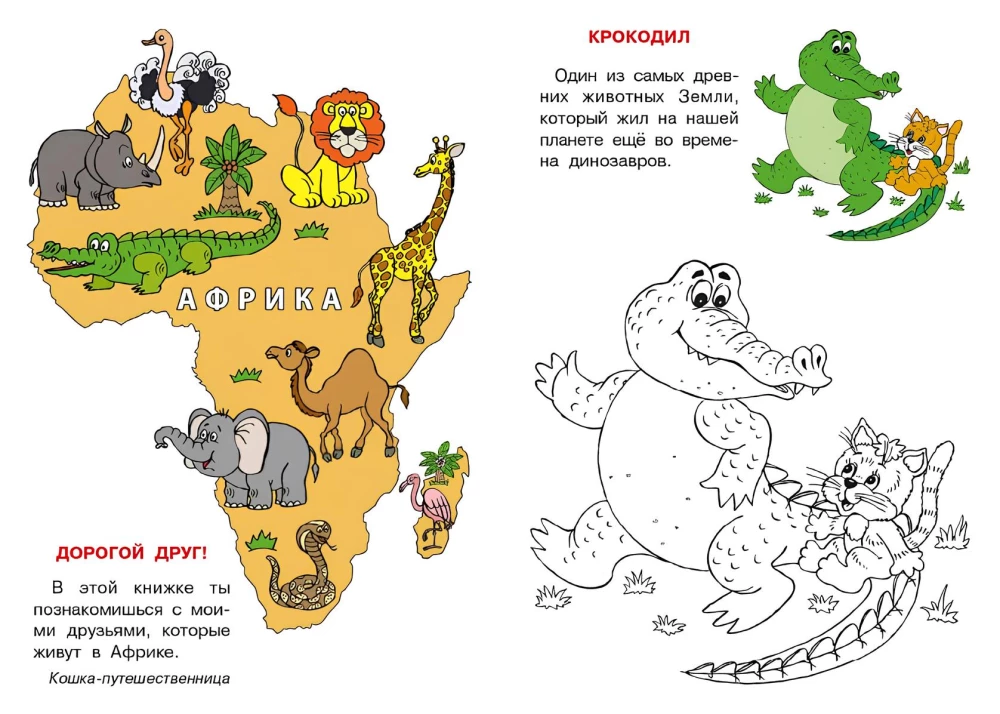 Afrika. Katės atlasas