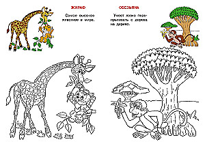 Afrika. Katės atlasas