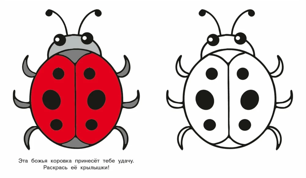 Nutrija. Pažvelk ir nudažyk