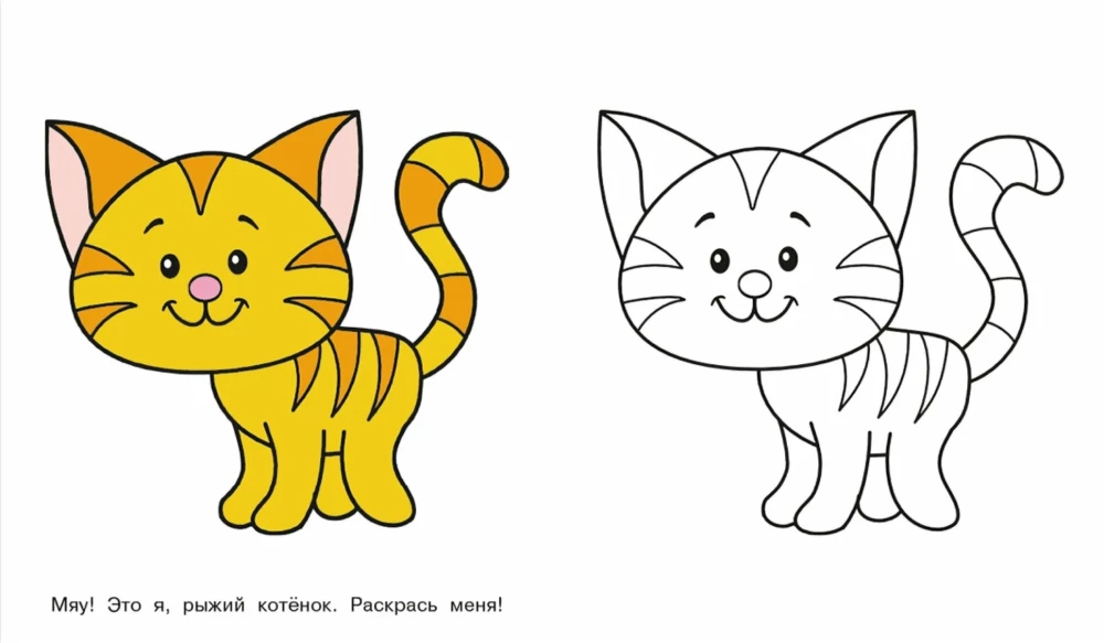Katinėlis. Pažiūrėk ir nuspalvink