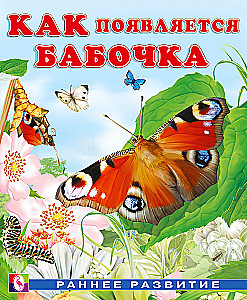 Jak pojawia się motyl