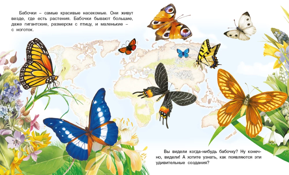 Jak pojawia się motyl