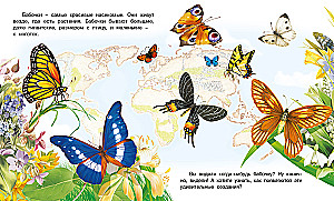 Jak pojawia się motyl