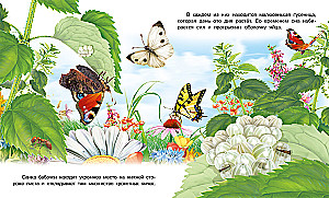 Jak pojawia się motyl