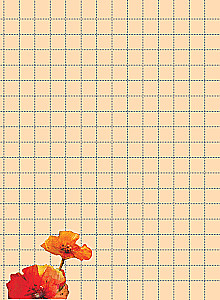 Big Happiness Notebook (Kitten)