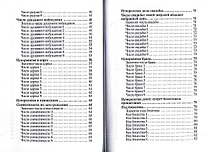 Numerologie für Anfänger
