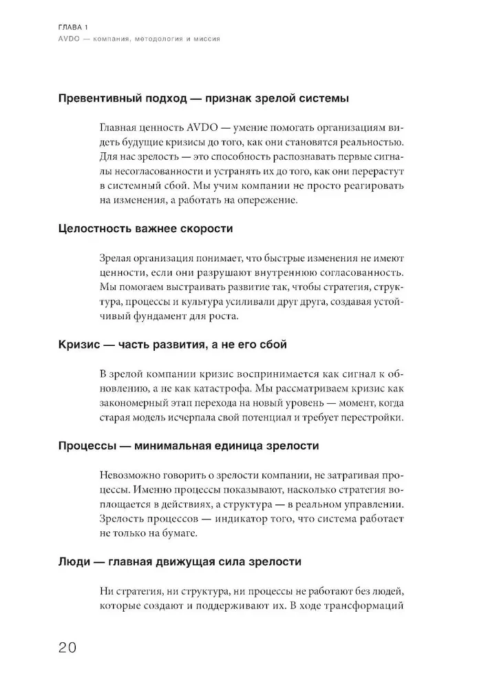 Организационная зрелость и управление кризисами. Как компания становится системой