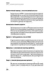 Организационная зрелость и управление кризисами. Как компания становится системой
